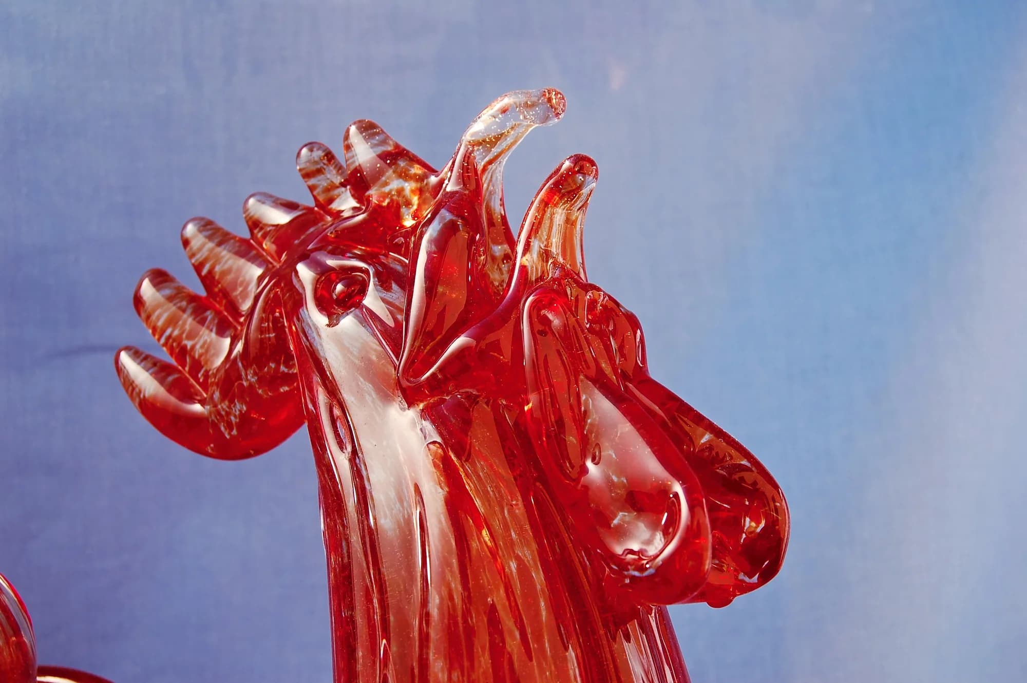Kohout — detail — sklo